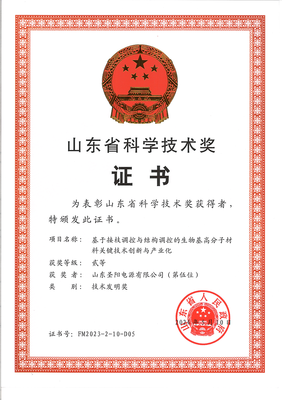 圣陽股份聯(lián)合申報(bào)項(xiàng)目榮獲山東省技術(shù)發(fā)明獎二等獎